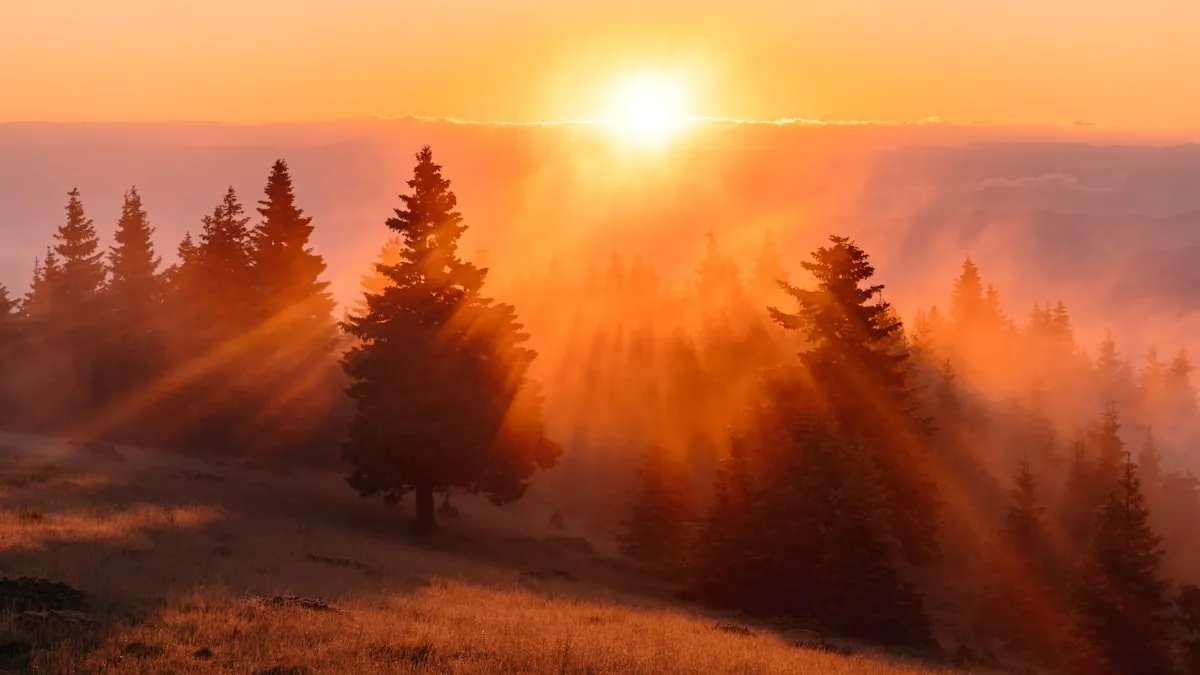 John the Apostle Wrote Revelation