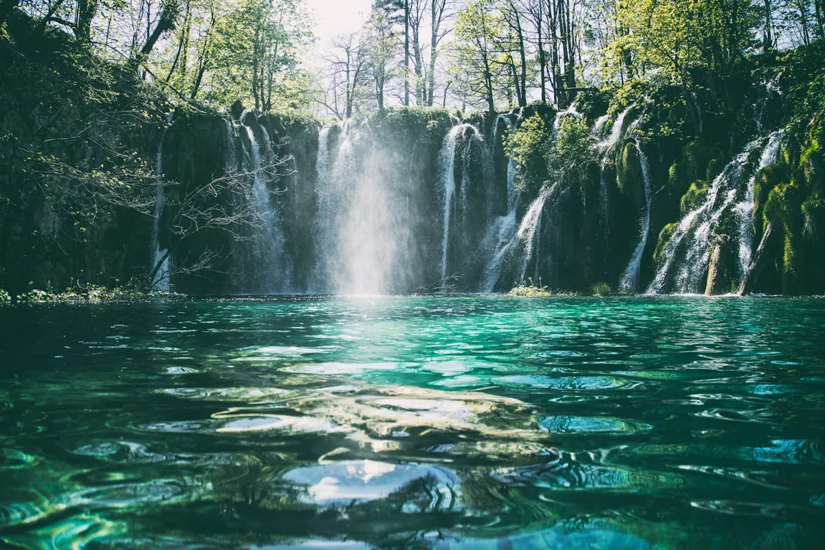 When “Voice” Means “Sound” in Revelation